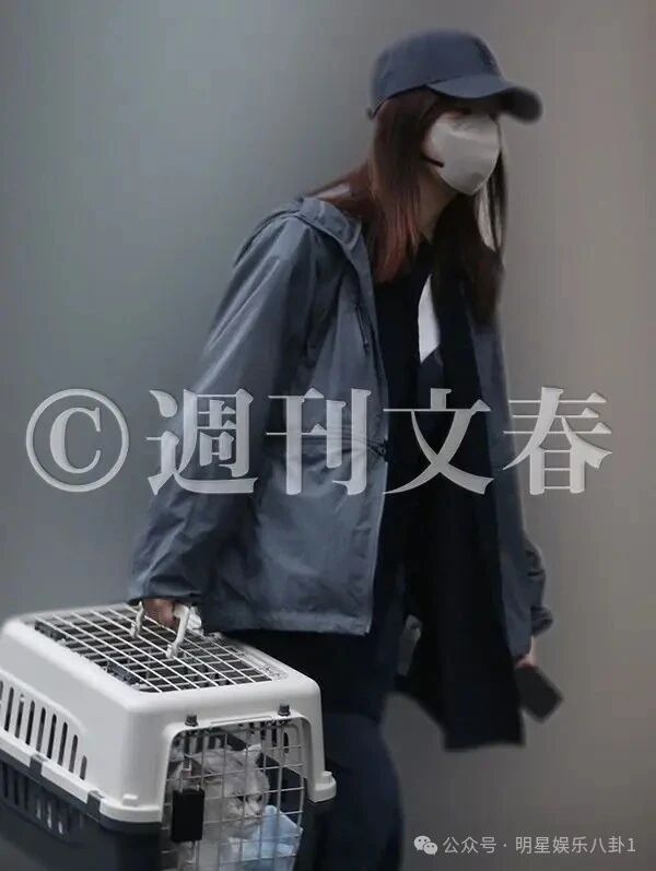 指原莉乃与犬饲贵丈被传交往:双方事务所称交本人处理