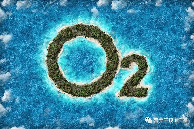 为什么人需要氧气氧气对身体的重要性_https://www.jmylbn.com_新闻资讯_第1张