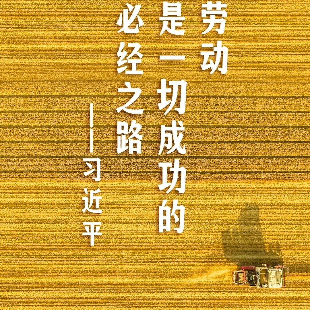 重庆市九龙坡区闽清商会