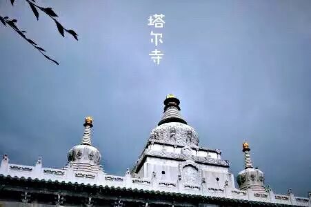 【精品路线】青海湖一日游