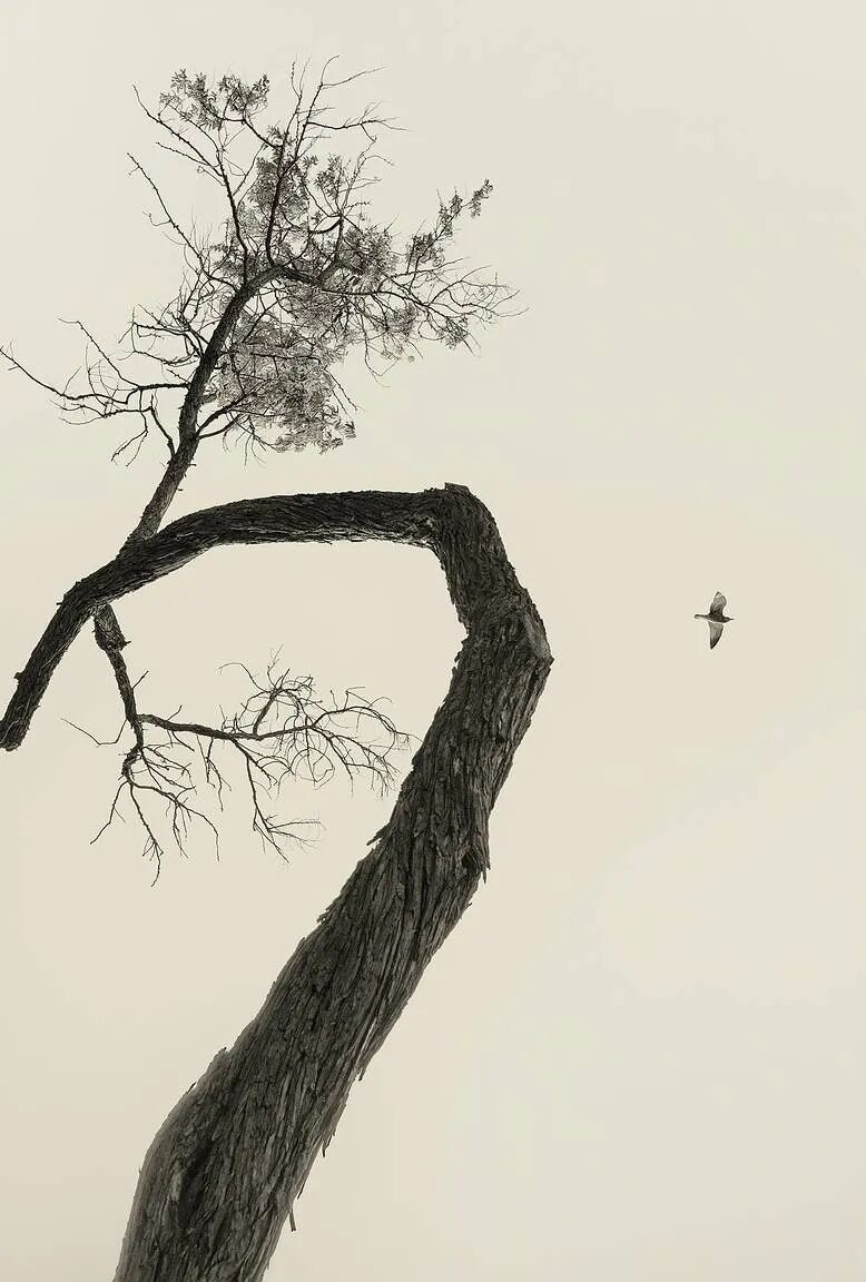 禅意风景摄影师sasagyoker67676767