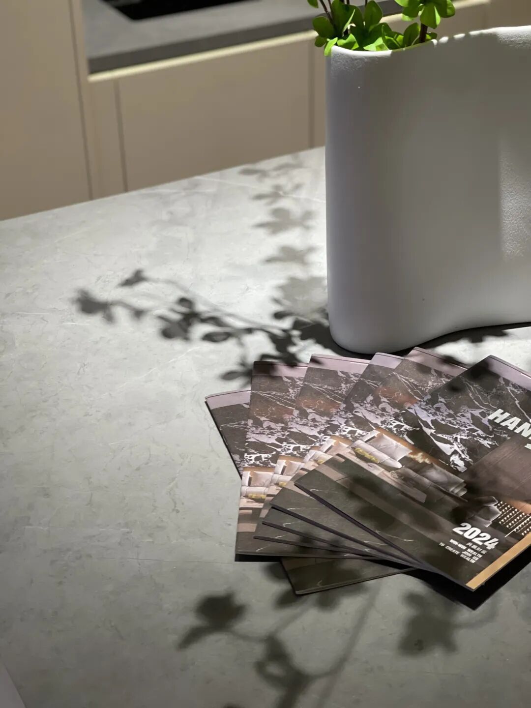 大宅之美 · 金牌设计 | 2024金牌亚洲泰州高端设计师交流会圆满成功！