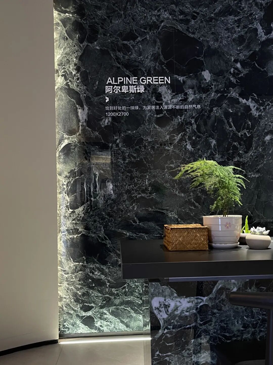 大宅之美 · 金牌设计 | 2024金牌亚洲泰州高端设计师交流会圆满成功！