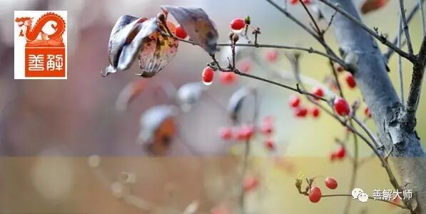 中药伟哥，腰猛雄肾丸