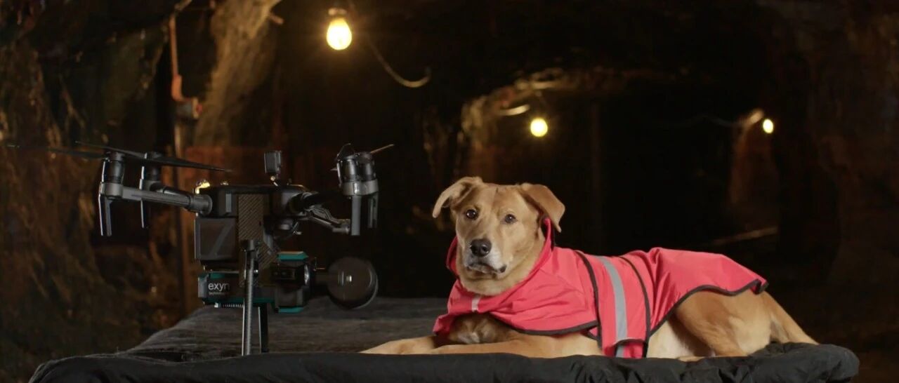 狗狗也能操作无人机！你没看错，不过这其实是架自动驾驶无人机