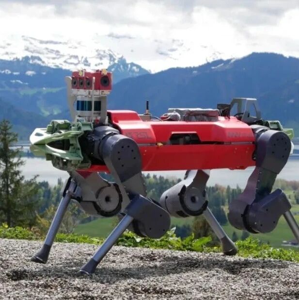 很稳没摔，机器狗ANYmal爬山比人还快4分钟，登上Science子刊