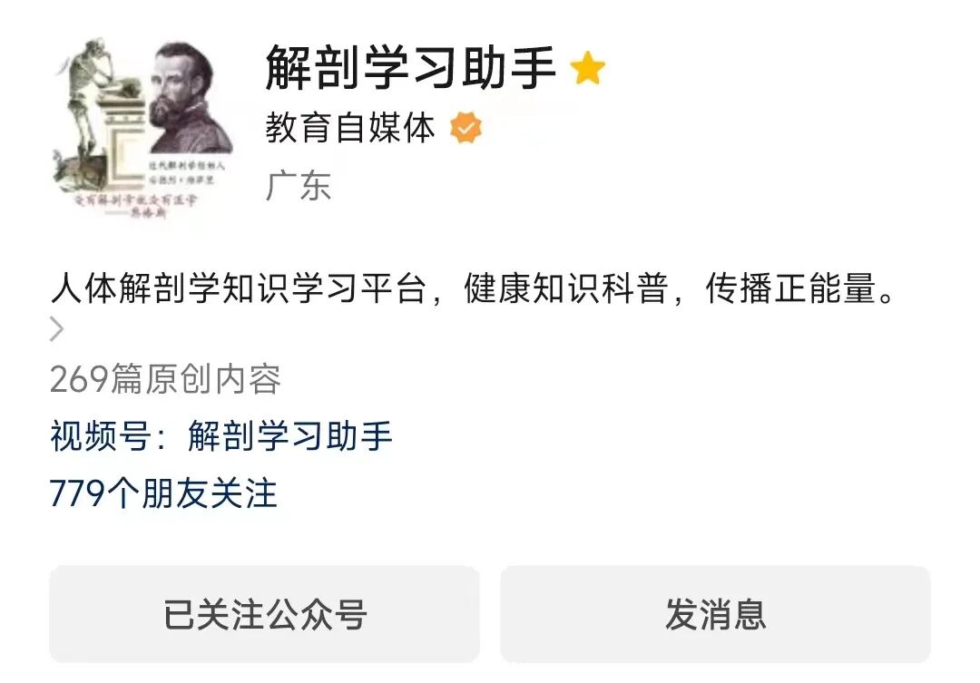 动脉什么压迫止血指压止血法_https://www.jmylbn.com_新闻资讯_第12张