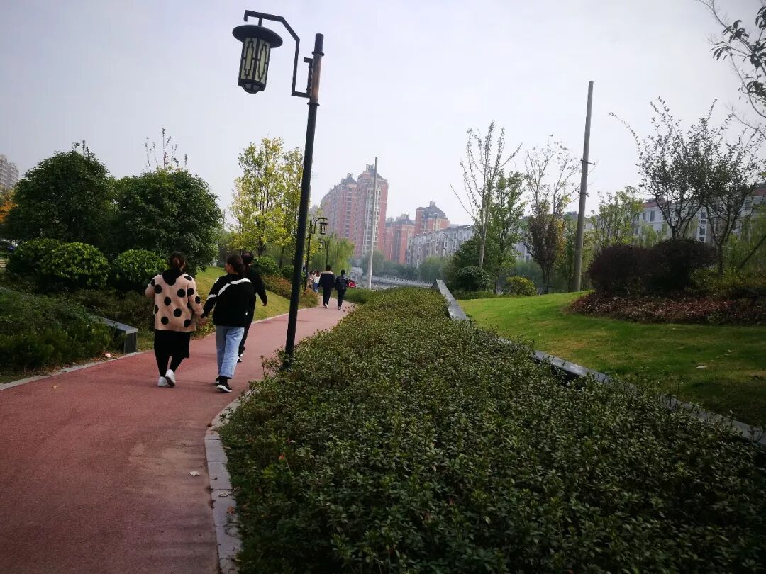 微信图片_20190617134537.jpg