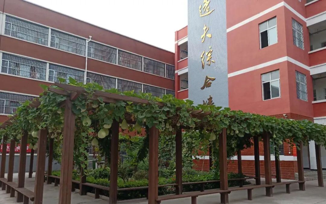 焦作市文昌中学开展寒假前最后一课活动