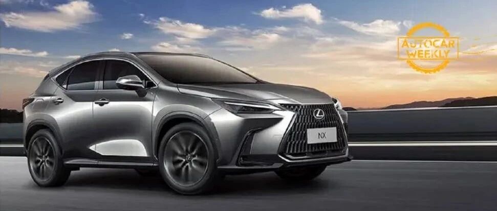 绿牌车主，请查收一份自由