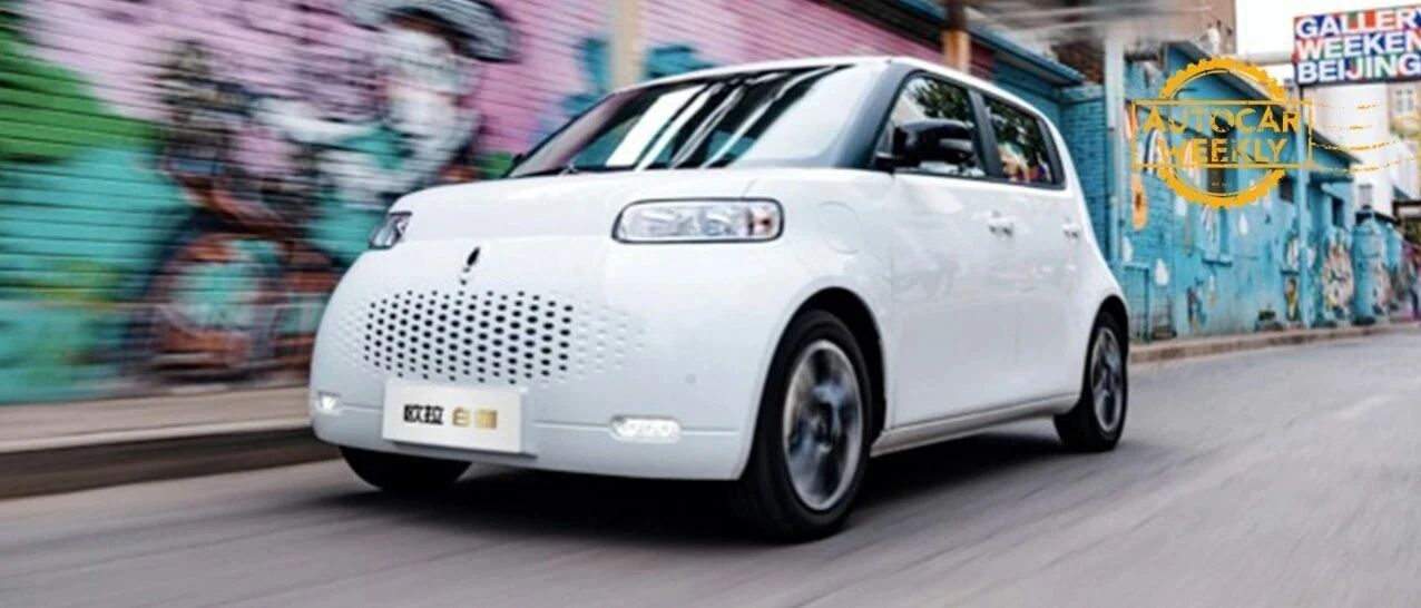 治愈系吸（白）猫指南