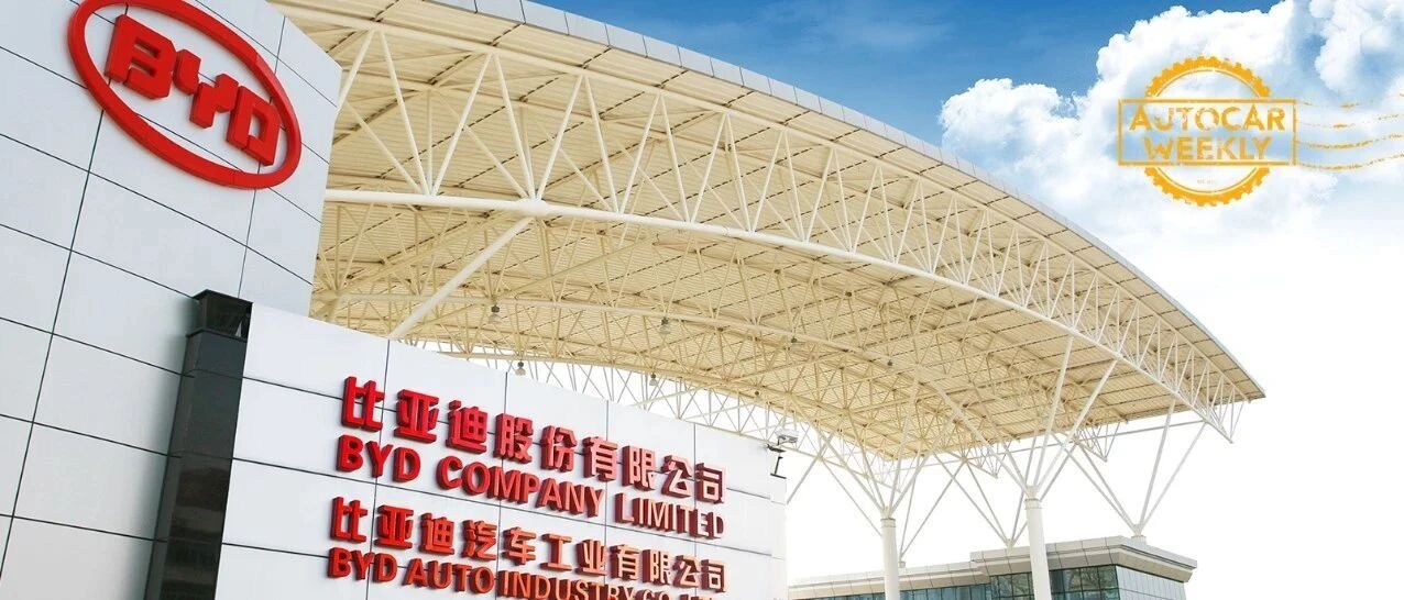 比亚迪：你得支棱起来啊