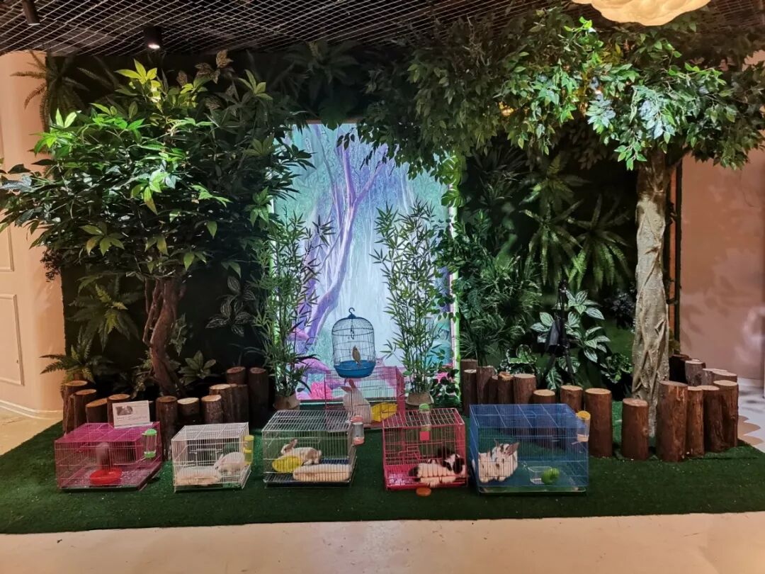 921南昌车展minizoo室内萌宠乐园空降展会现场趣
