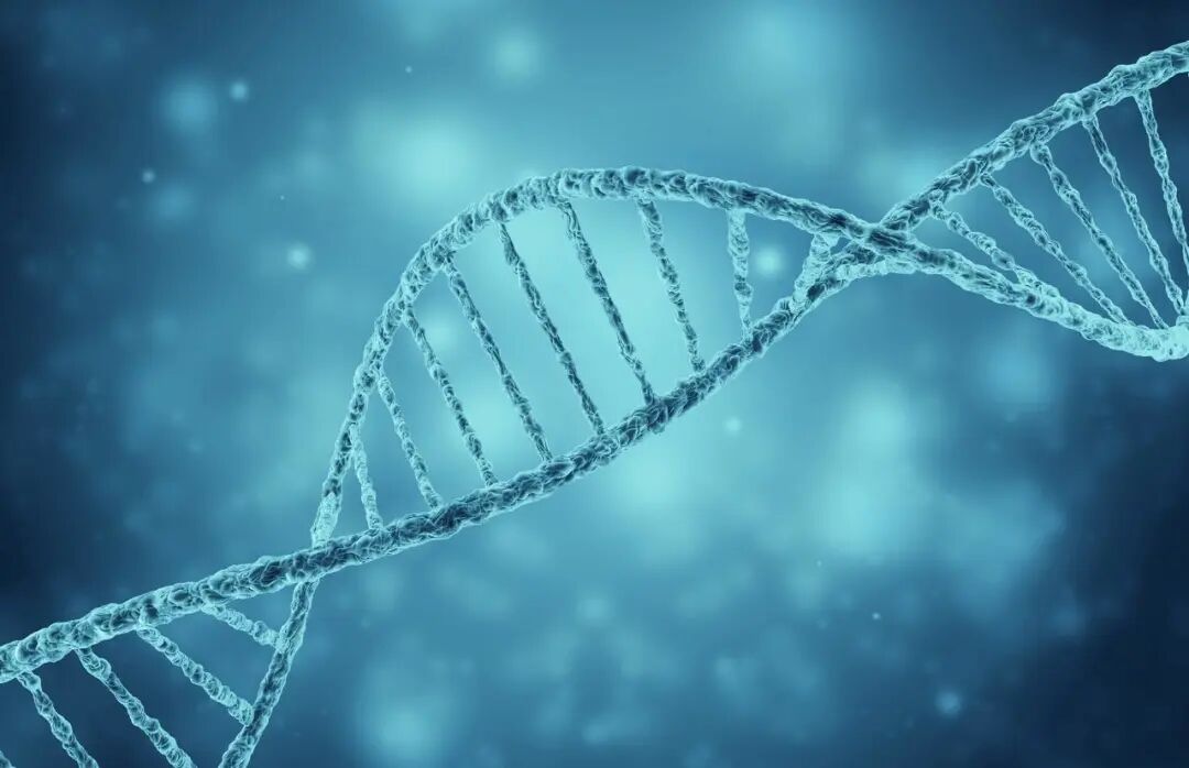 文献解读 | 《宿主细胞残留 dna 片段大小分布检测方法的建立及验证》