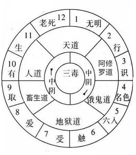 六道轮回 | 一张图解释佛教宇宙观