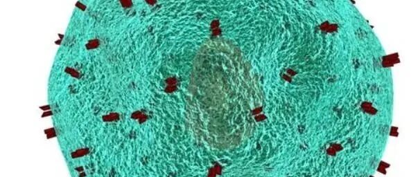 11月Nature杂志不得不看的重磅级亮点研究