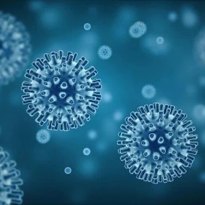 上海交大陈赛娟院士团队最新成果：新冠病毒感染后中和抗体能维持半年以上