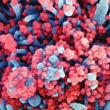 Science：全球200名科学家们通力合作揭示SARS-CoV-2、SARS-CoV-1和MERS-CoV冠状病毒的共同弱点