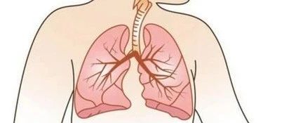 最新进展!干细胞治疗早产儿支气管肺发育不良(BPD)安全可行