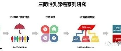 Cell Research：“高危”三阴性乳腺癌有望增添代谢治疗靶点，“复旦肿瘤”科学家绘制出最大三阴性乳腺癌代谢物图谱