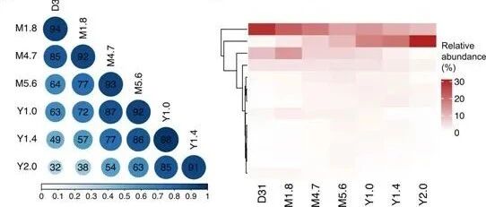 Nature：揭示CAR-T细胞可在人体内持续存在至少10年，并实现白血病持续缓解