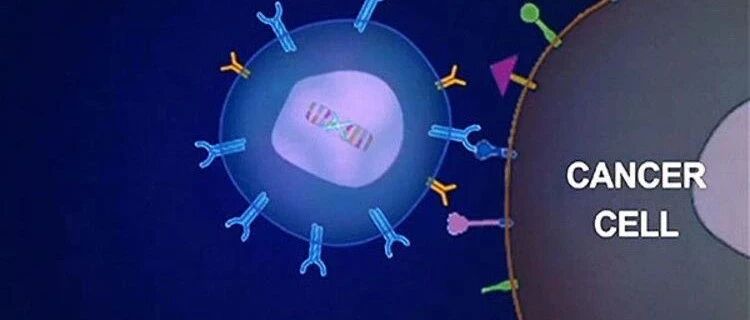CAR-T细胞疗法最新研究进展（第22期）