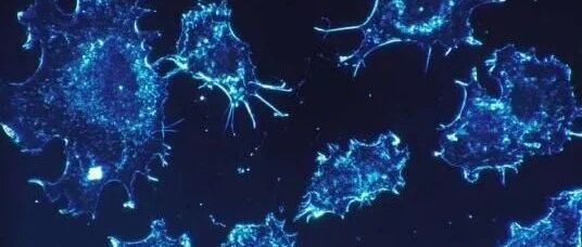 Cell：基于纳米生物学技术的新型癌症免疫疗法或有望彻底根治癌症