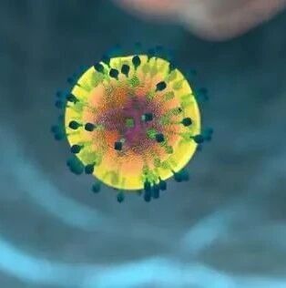 隐形的干细胞或能通过利用“免疫开关”来躲避自然杀伤性细胞的攻击