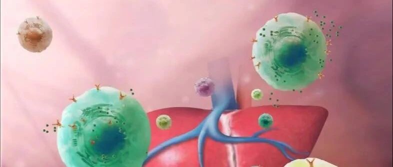 Science|张泽民课题组与合作者发表泛癌症T细胞单细胞图谱