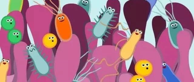 Nature：你以为是你在社交？研究发现肠道菌群可通过神经影响动物社会行为