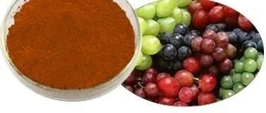 Nat. Metab|仙丹在这里！葡萄籽提取物可选择性清除衰老细胞，延长寿命！