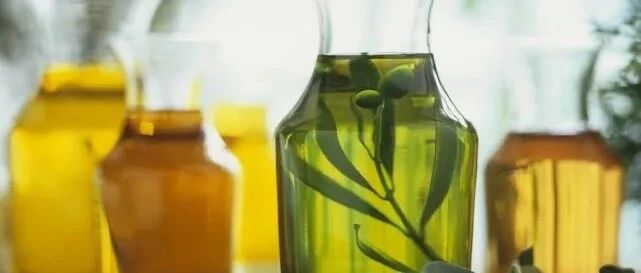 Nature：重大进展！揭示饮食中的棕榈酸促进癌症扩散机制