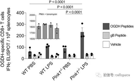 別輕忽腸道感染，竟能引發帕金森病？ 健康 第2張