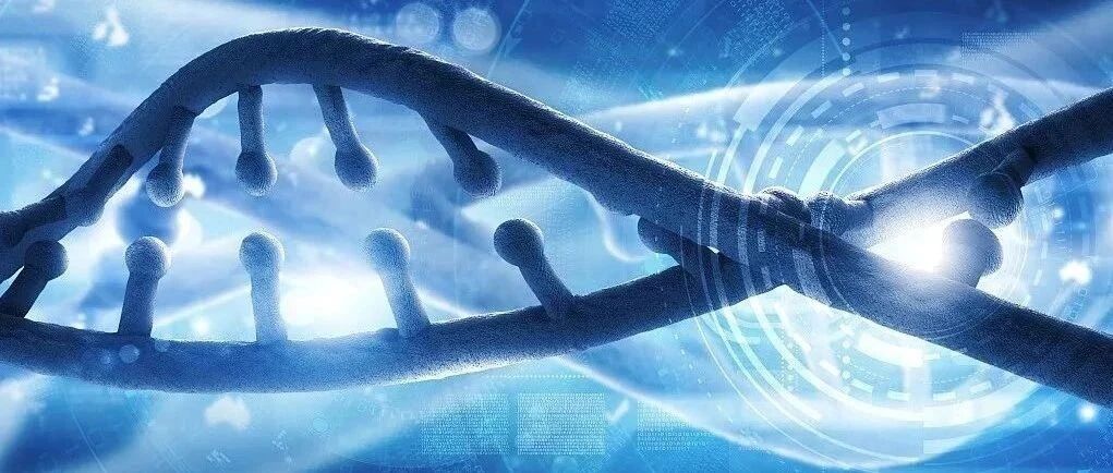 PNAS | 江鹏课题组揭示p53突变肿瘤细胞对一碳代谢关键酶的极端依赖性