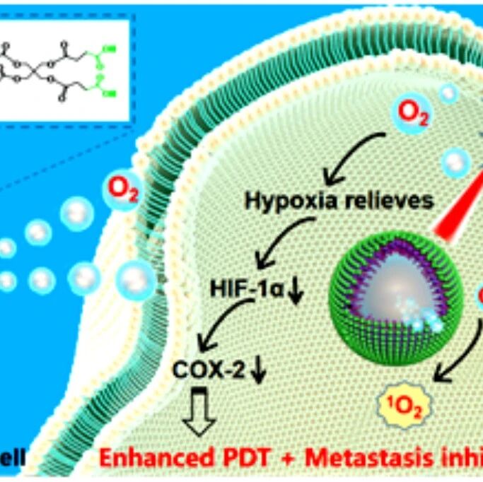 ​北医三院超声诊断科梁晓龙课题组在克服肿瘤乏氧提高化疗/光动力疗效方面取得重要进展