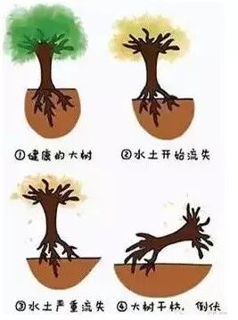 牙周好，牙齿才好！人生最大的痛苦莫过于：人在，钱在，牙齿没有了