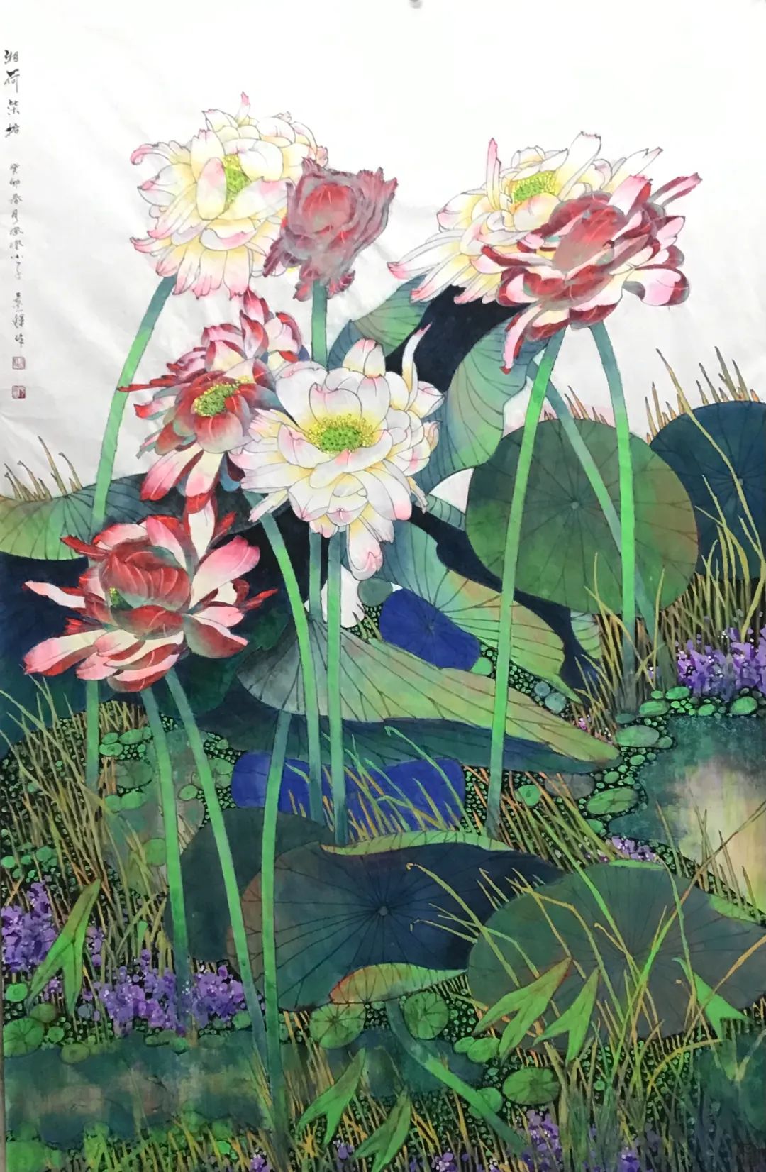 图片