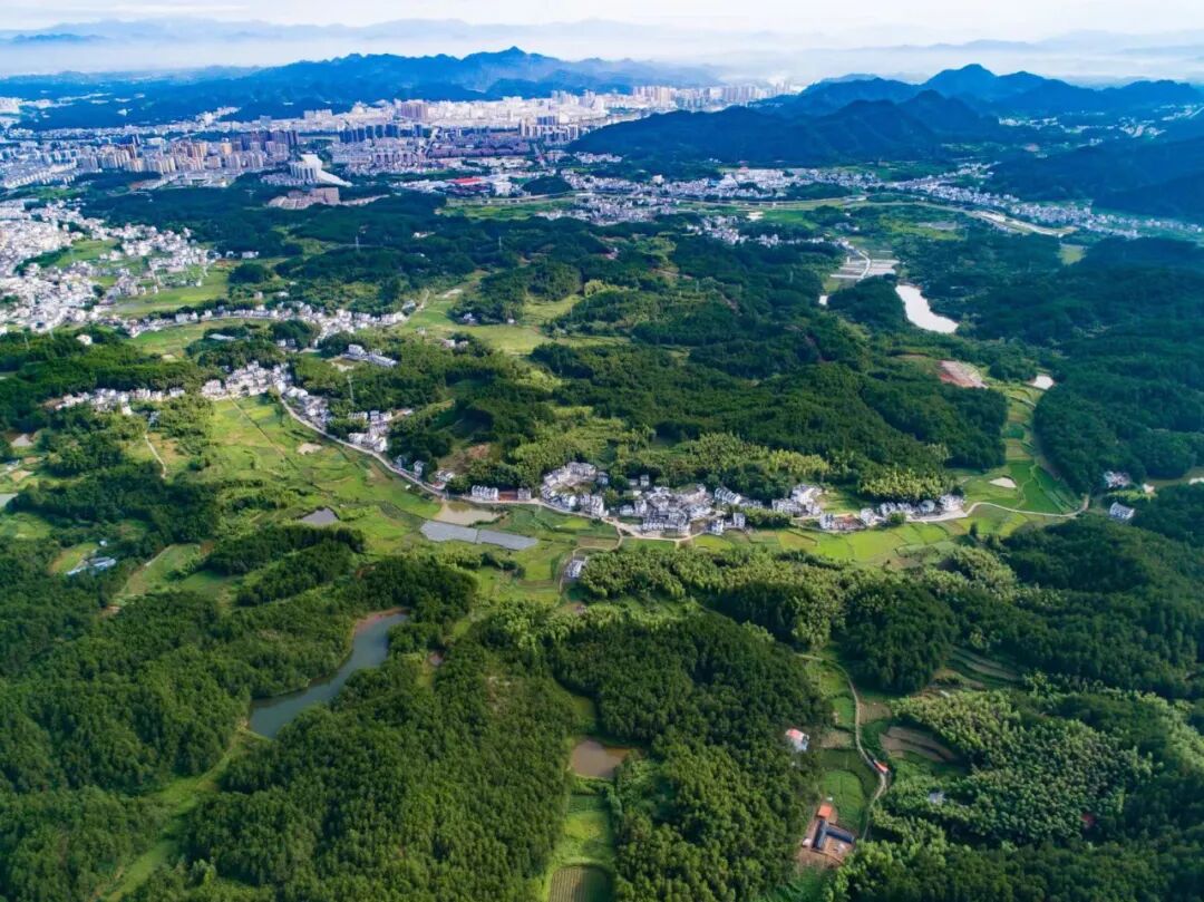 户外踏青来屯溪区解锁浪漫春日游
