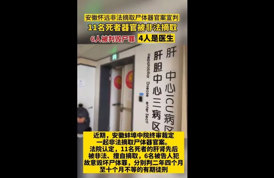 内蒙古娇妻一女侍19夫，狗血细节震惊全网，人若没了底线，究竟多可怕（组图） - 5