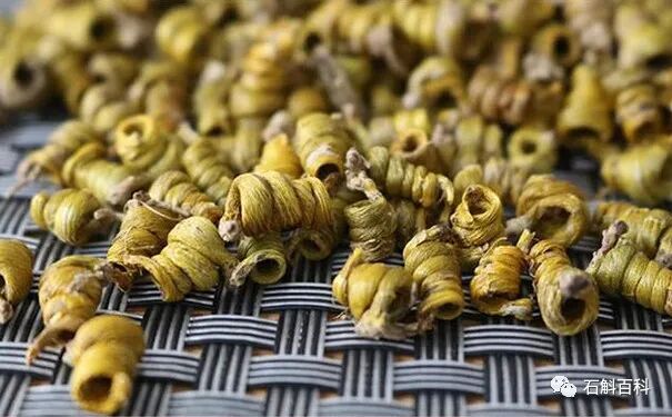 霍山石斛对女性的功效