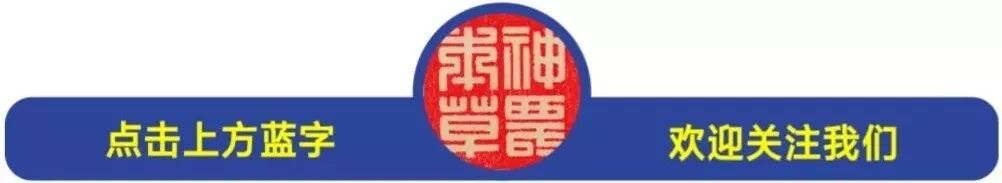 书炮制转化新法释饮片应用精华—《中药生制饮片临床鉴别应用》推介