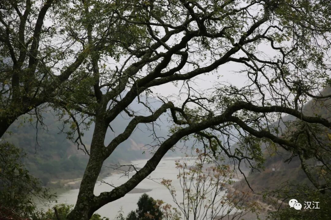 菲菲春雨走汉江