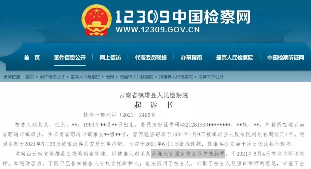 镇雄一男子因为这三棵树被抓 全网搜