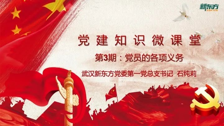 党员必须履行的第三条义务是_党员 权利 义务_党员的八项义务是什么