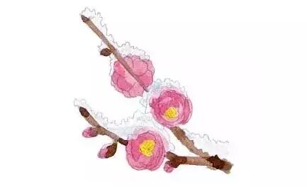 將四季 都穿在身上的日本人 日本通 微文庫