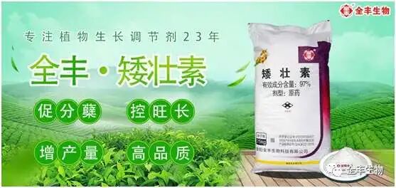 微信圖片_20200904151456