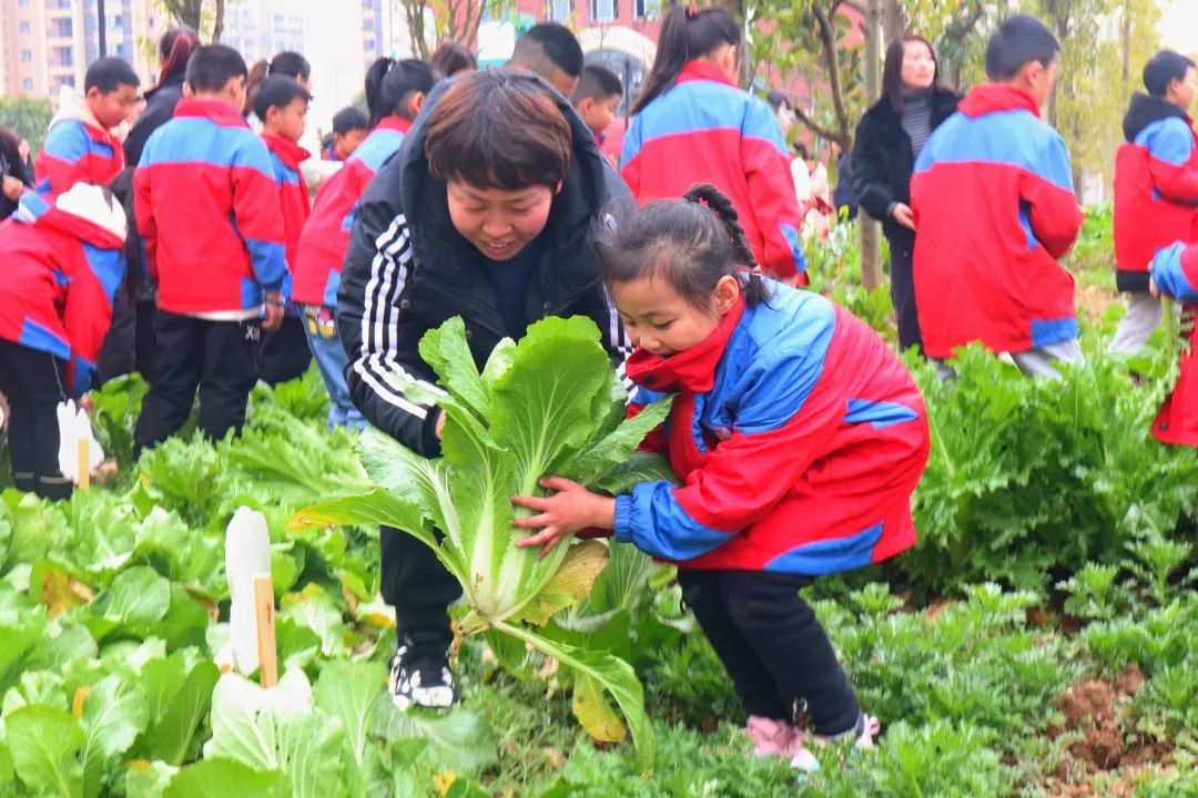 重庆市国维外国语学校2023年春季招收少量优秀学子 重庆市国维外国语学校2023年春季招收少量优秀学子