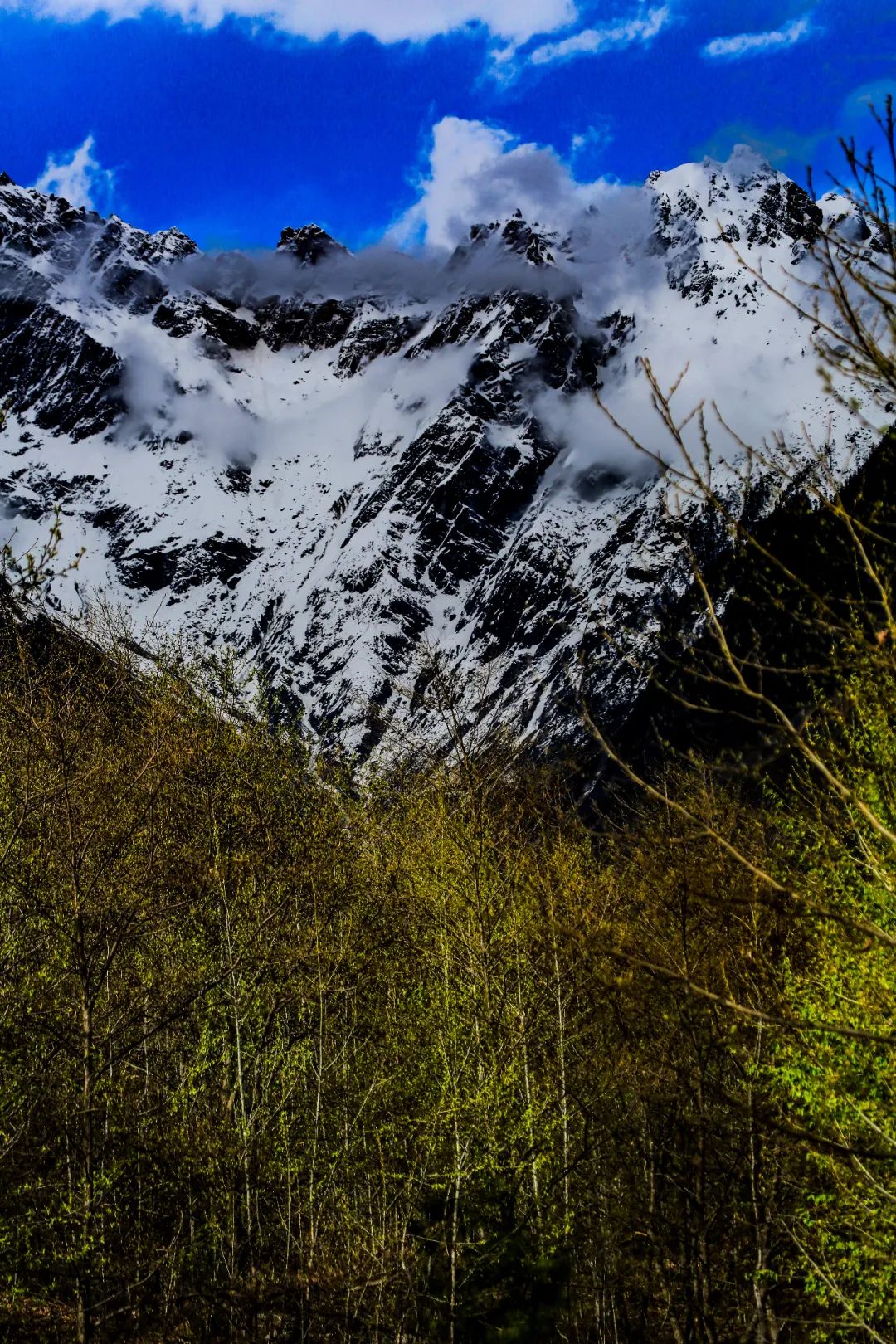 天啊，這才是山峰！ 旅遊 第48張