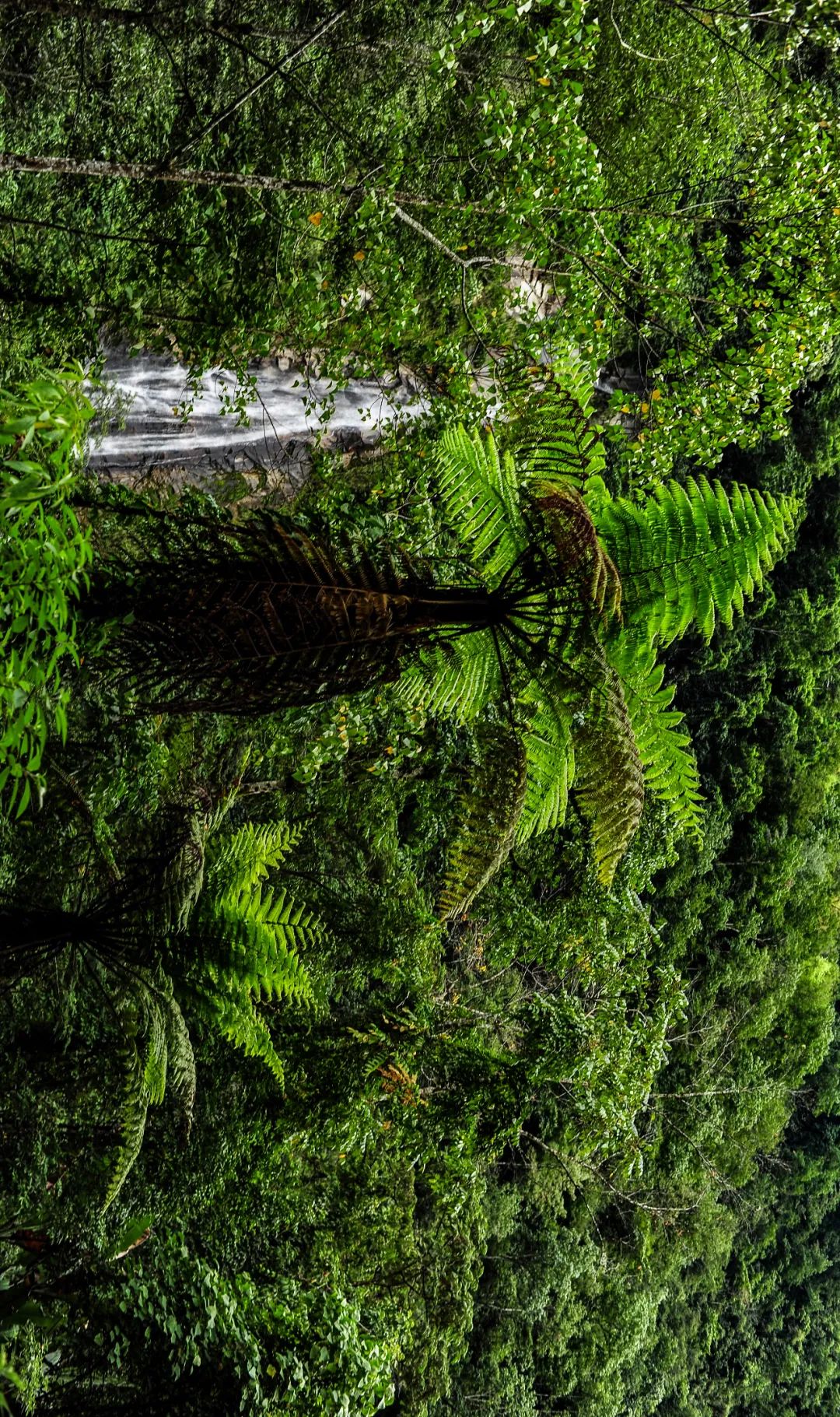 天啊，這才是山峰！ 旅遊 第50張