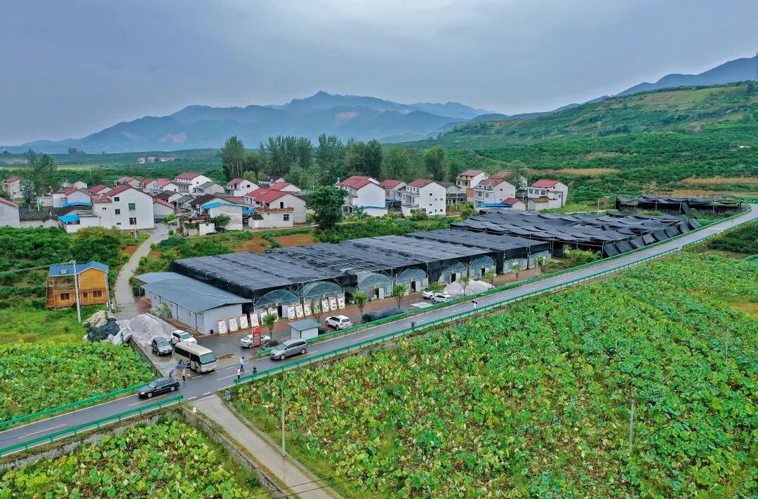 68 68 68 原公镇垣山社区积极争取项目扶持,建成打蜡厂,烘干厂